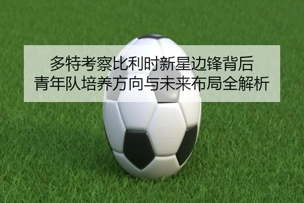 多特考察比利时新星边锋背后 青年队培养方向与未来布局全解析